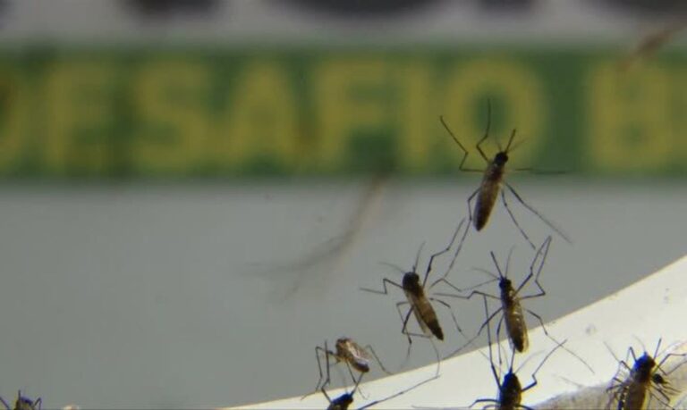2015-12-01t010142z_1_lva0013c0s8xv_rtrwnev_e_2063-brazil-health-virus